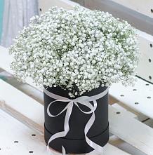 Цветочная композиция из Гипсофила в шляпной коробке #REPLACE_PRED# Верхнестепном