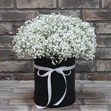 Цветочная композиция из Гипсофила в шляпной коробке в Верхнестепном