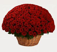 Премиум букет из: Розы в Верхнестепном